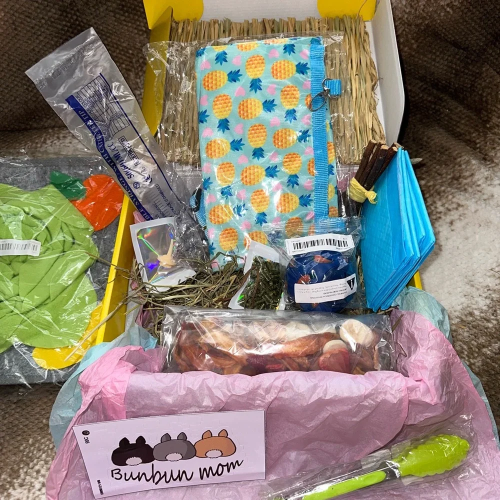Bunny rabbit *large* treat and toy box (very last one)